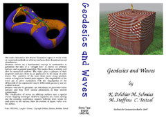 Cover of Video Geodesics and Waves